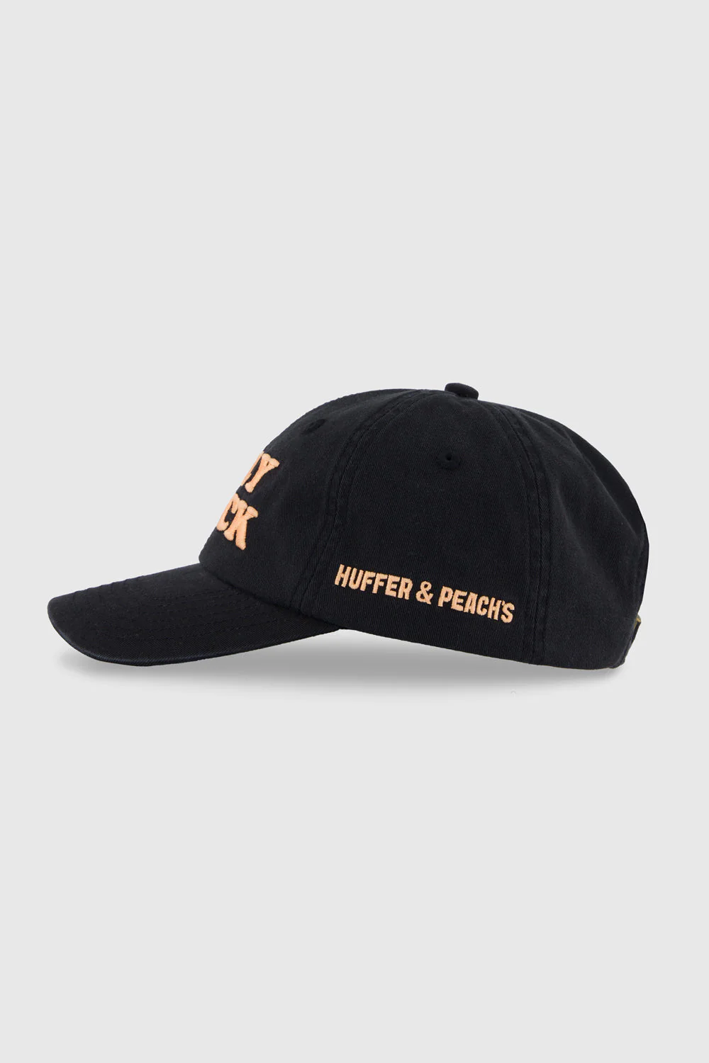 6 PANEL CAP/HOLY CLUCK BASALT - Image 4